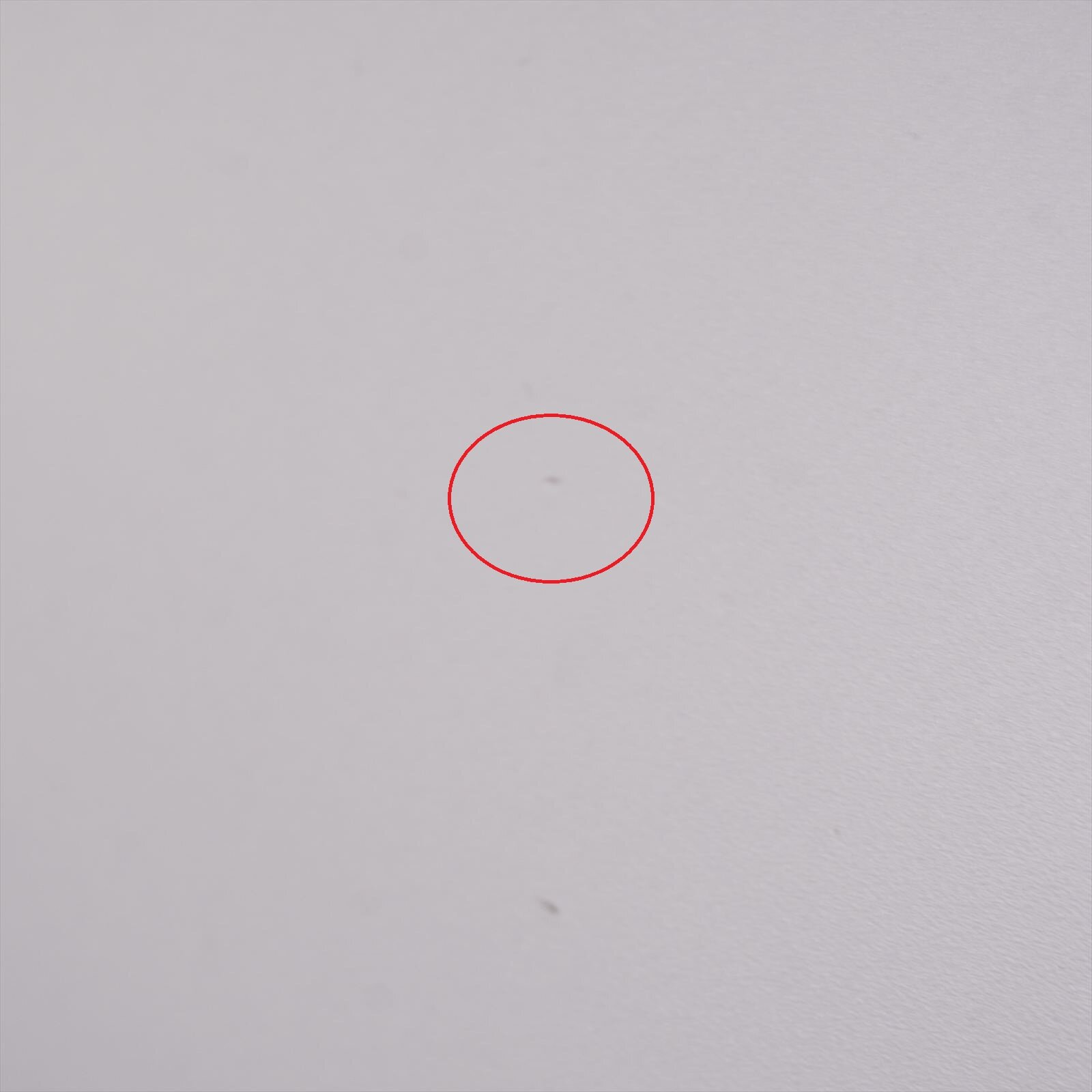 コクヨ リーフライン フラップテーブル 1860 特価品