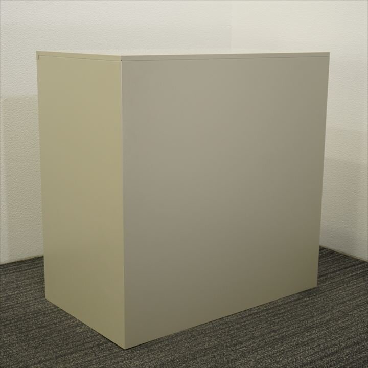 ライオン ガラス引戸書庫 W880D515H880