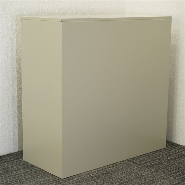 ライオン ガラス扉引戸書庫 W880D400H880